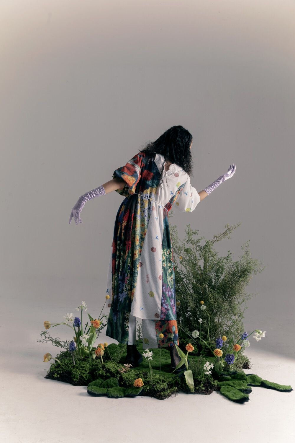 Decorative plant